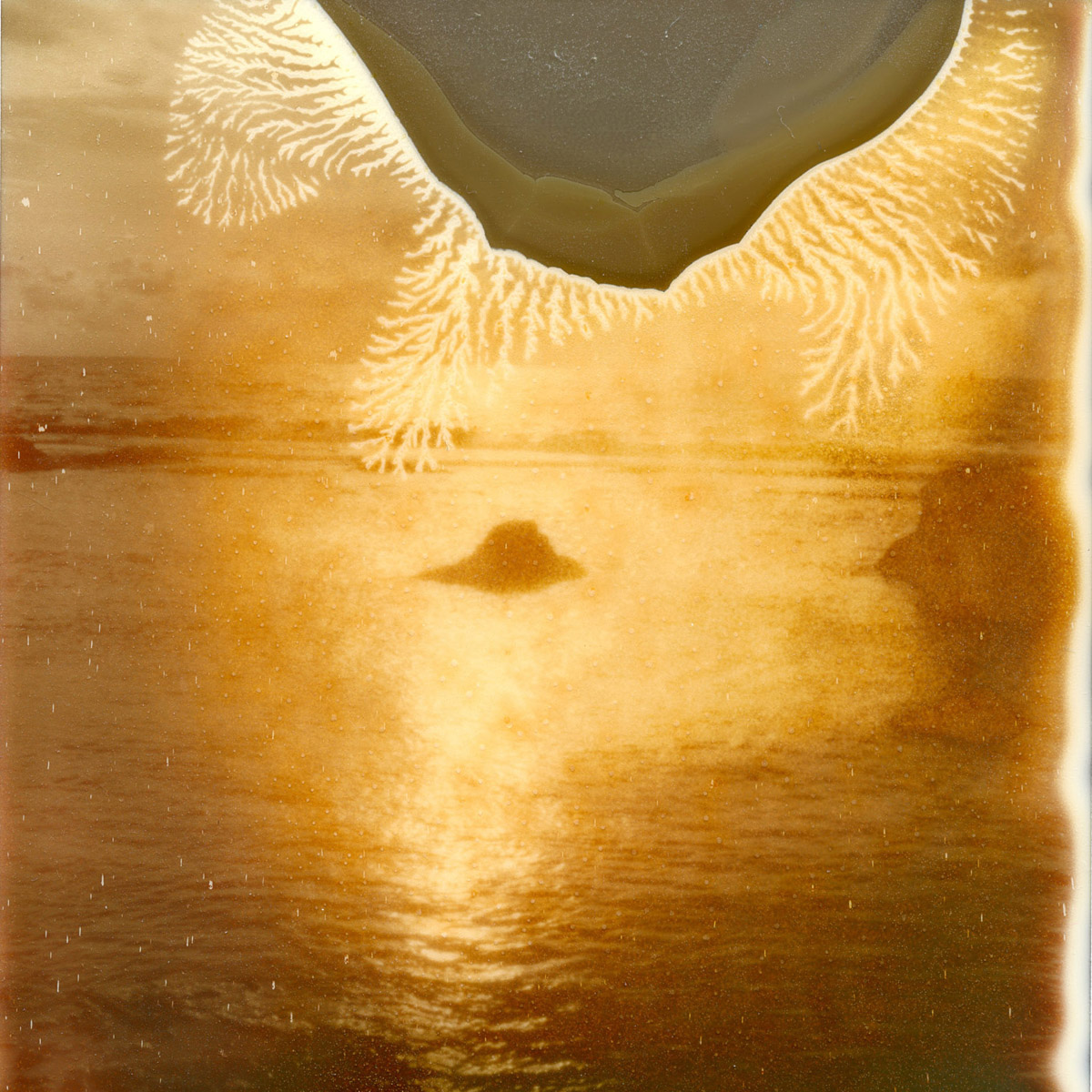 Island Dream