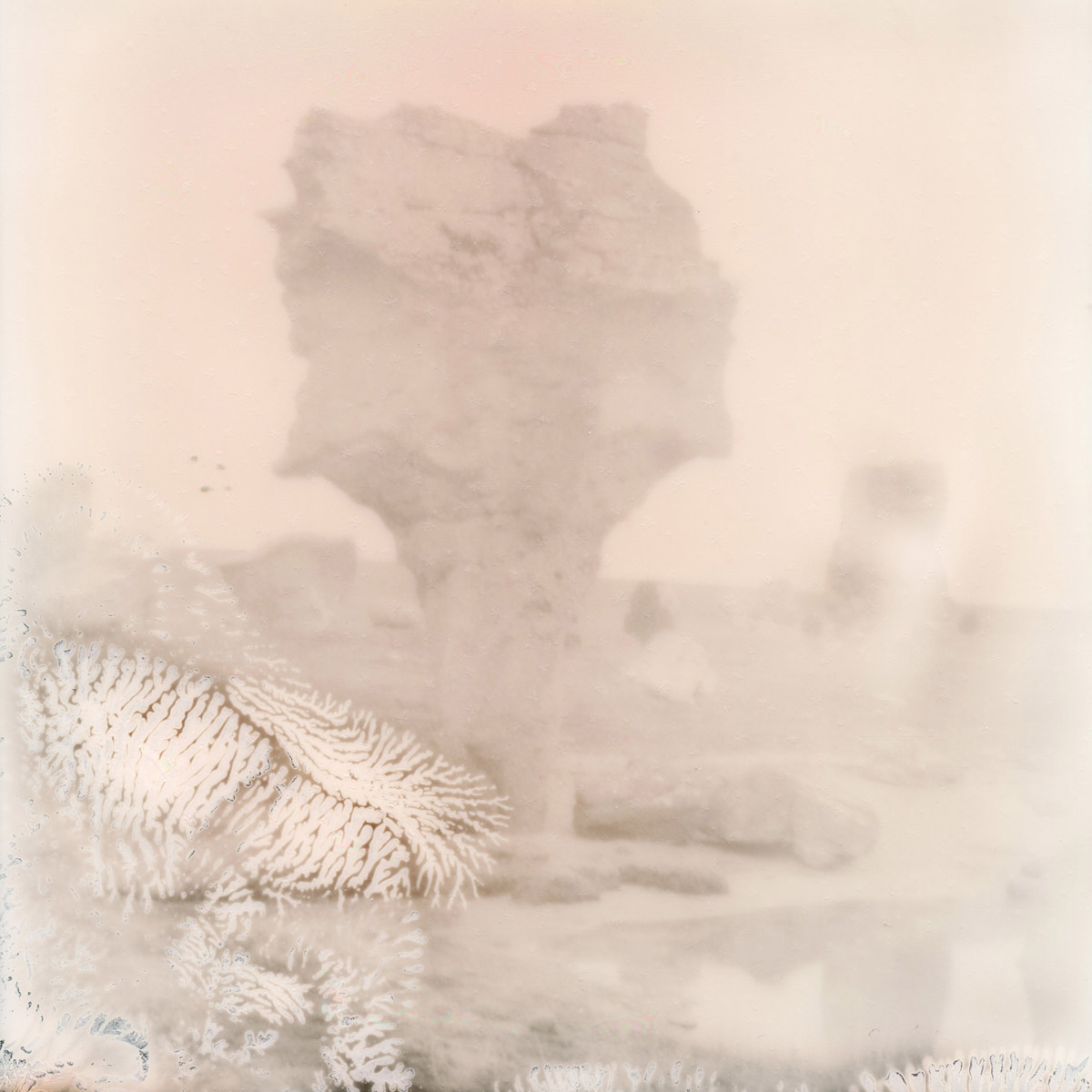 Island Dream