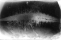 From the series 
